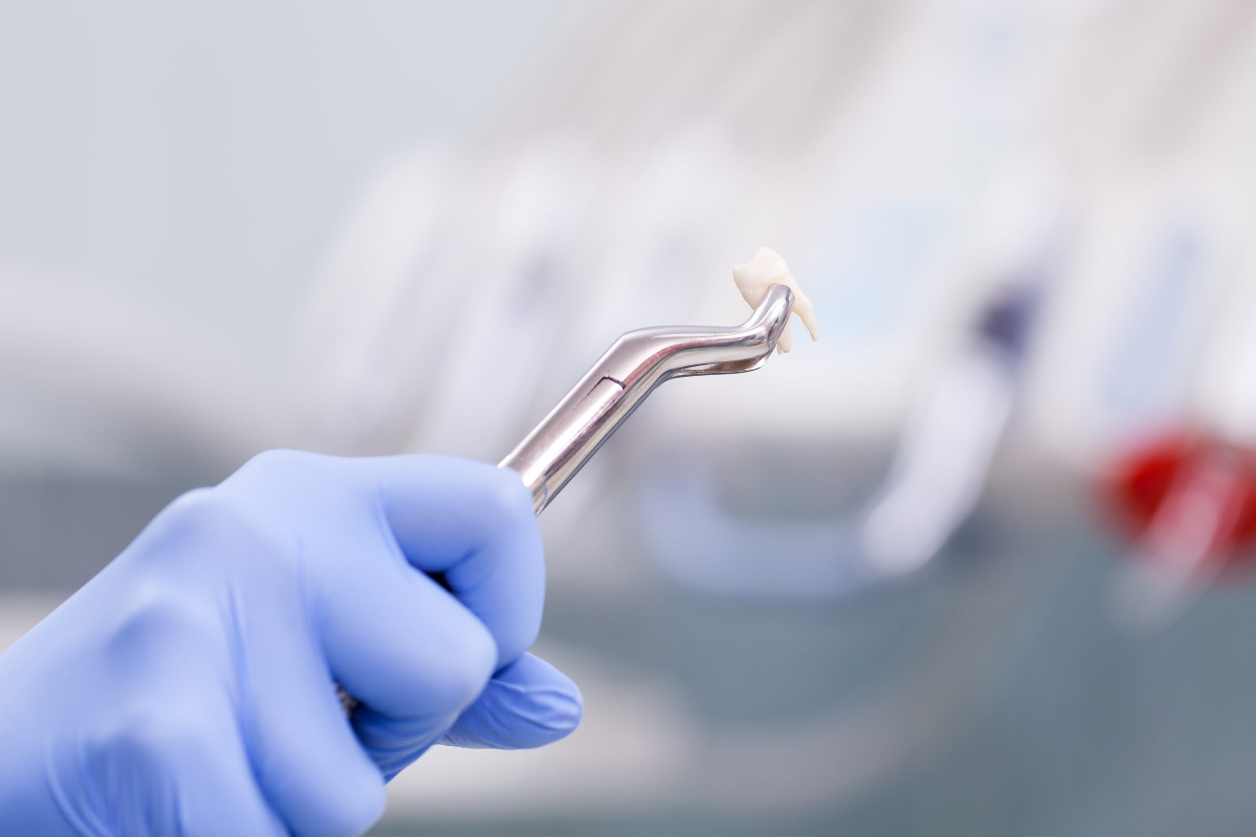 Dental instrunemt for tooth extraction